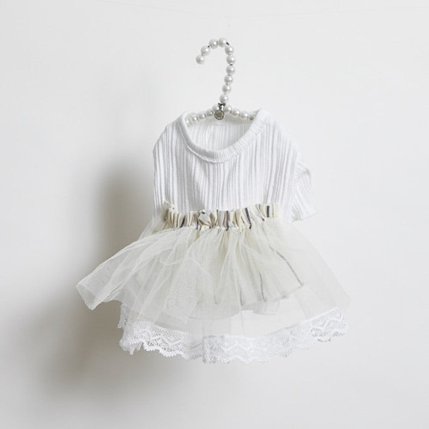 Blanc de Blanc Shirts