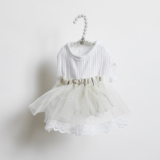 Blanc de Blanc Shirts