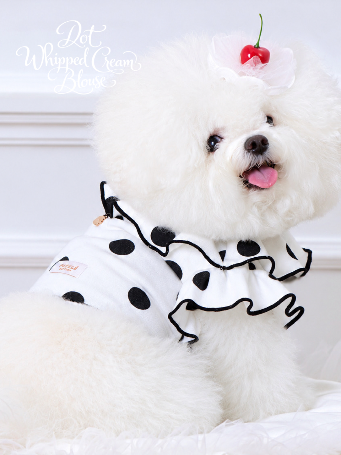 White with Black Dots Whipped Cream Blouse
