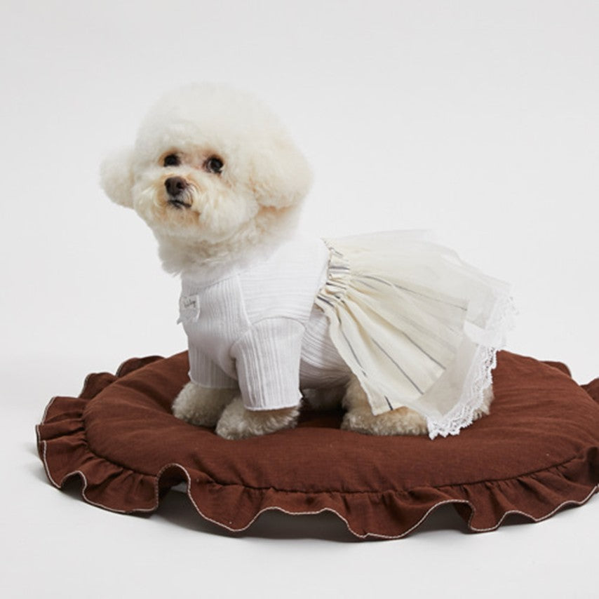 Blanc de Blanc Shirts