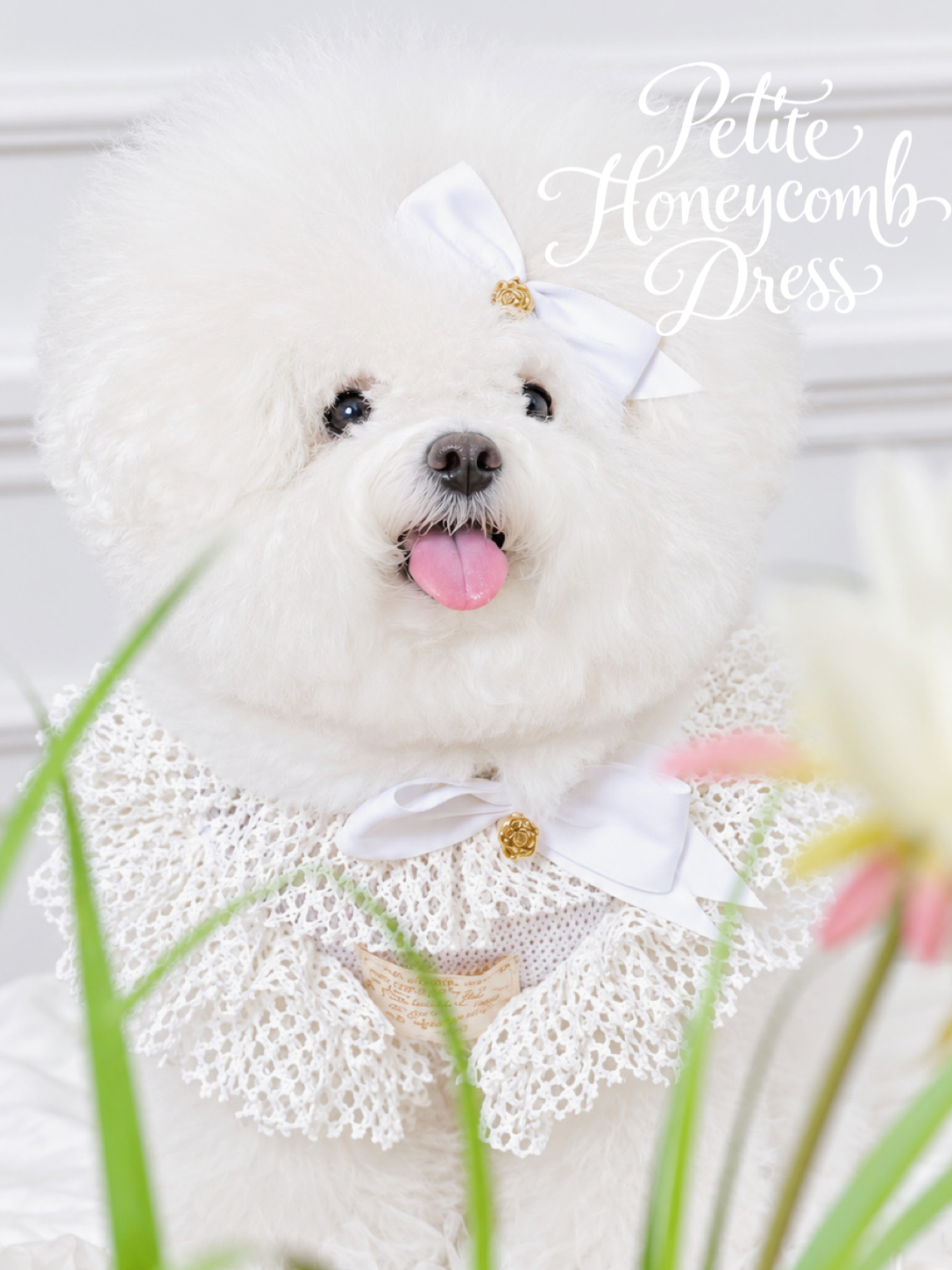Pure White Petit Honeycomb Dress