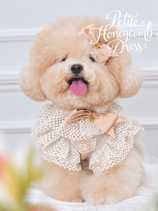 Soft Beige Petit Honeycomb Dress