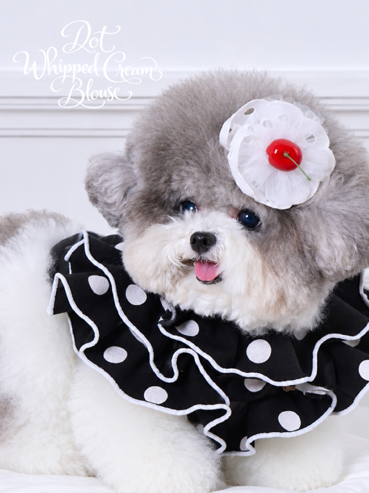 Black with White Dots Dot Whipped Cream Blouse