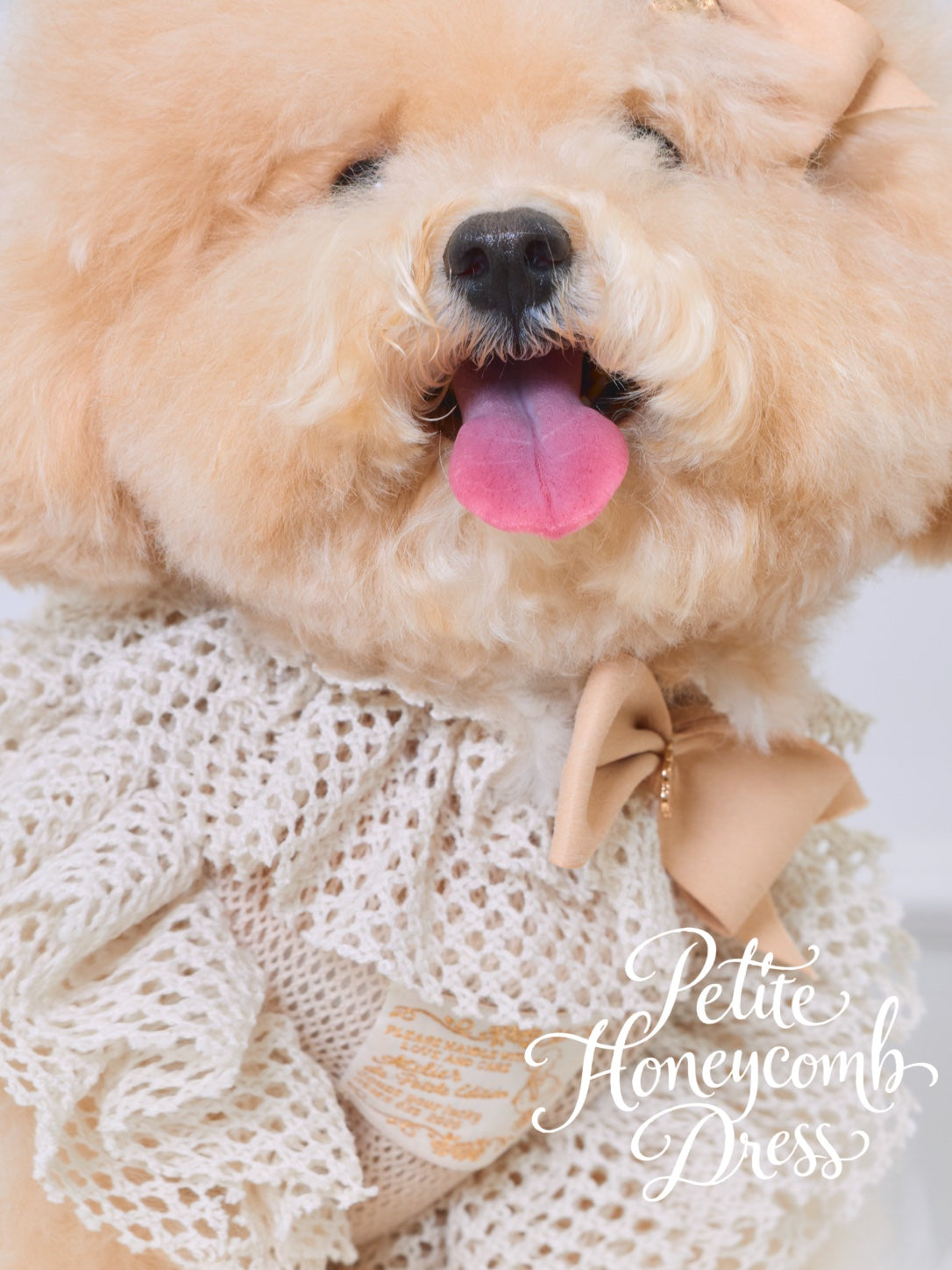 Soft Beige Petit Honeycomb Dress