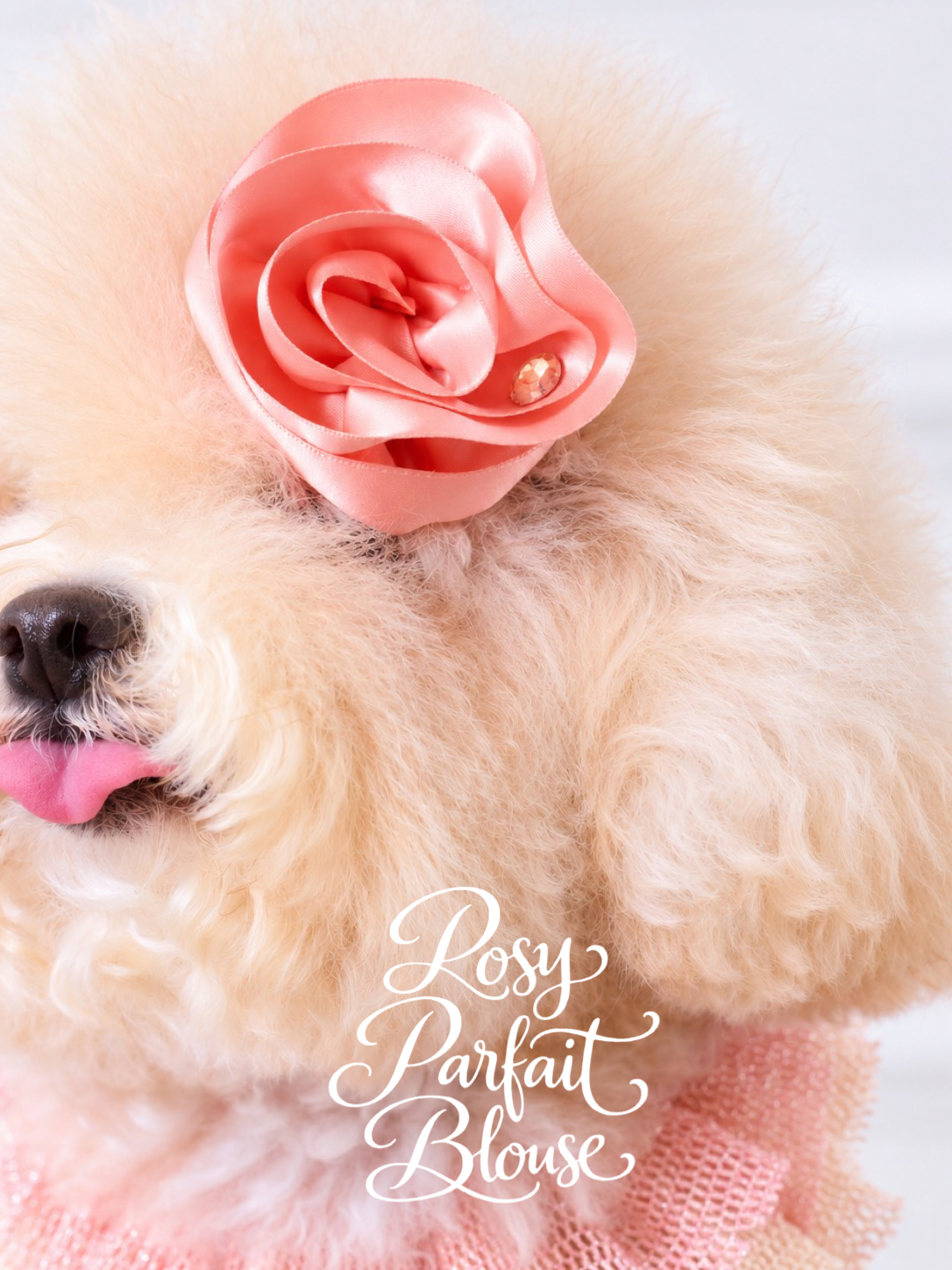 Peach Rosy Hair Clip