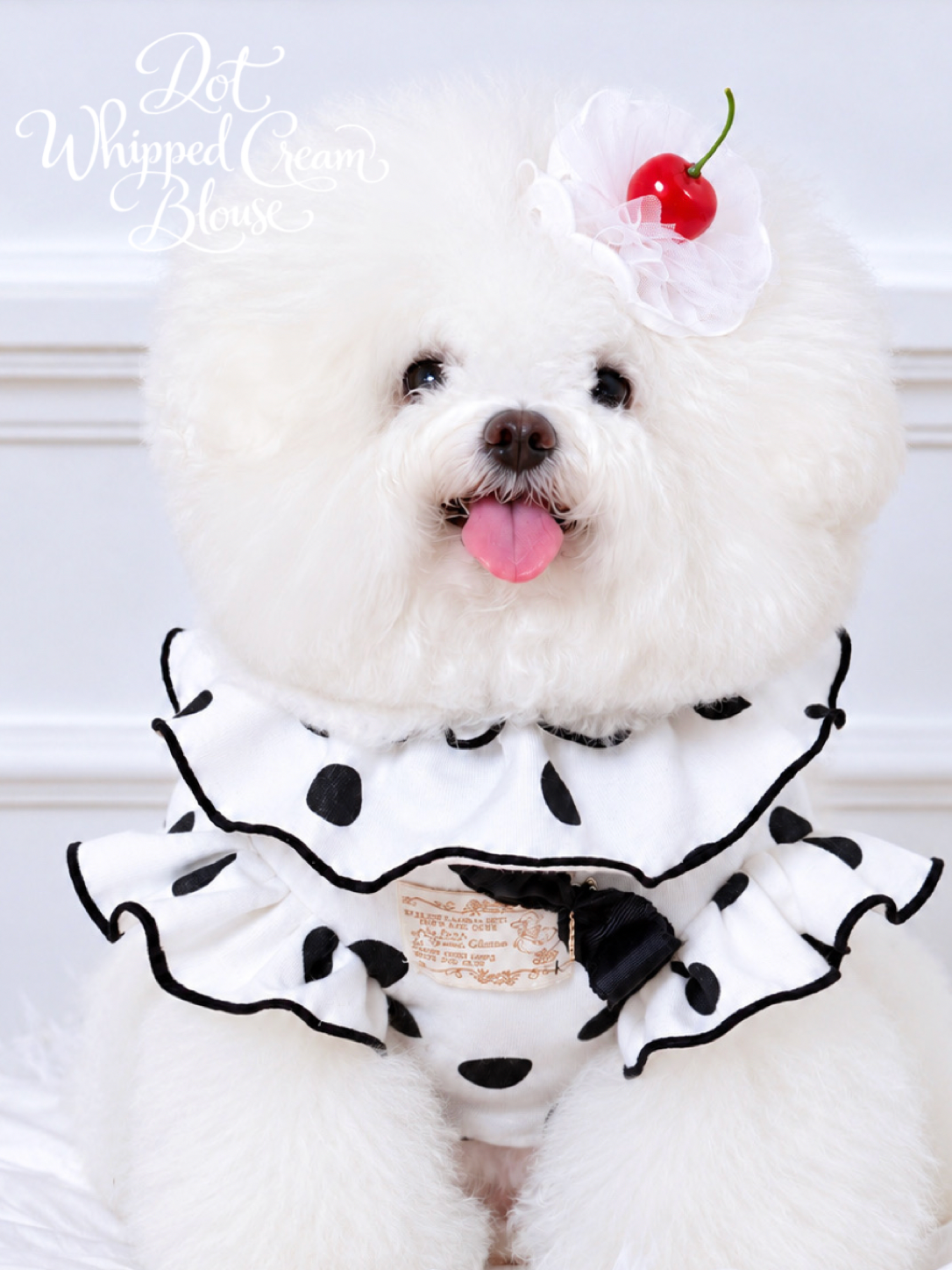 White with Black Dots Whipped Cream Blouse