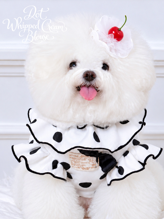 White with Black Dots Whipped Cream Blouse
