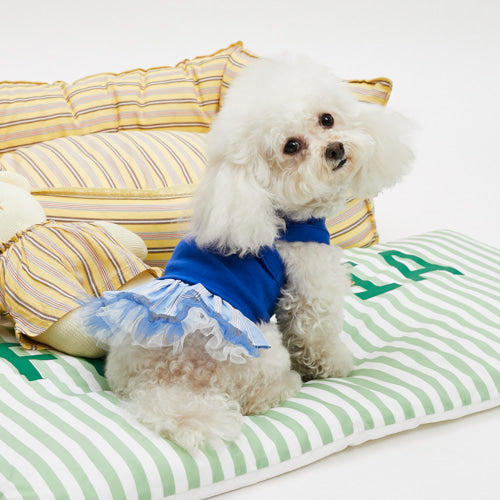 Louisdog (M) Princess Blue top