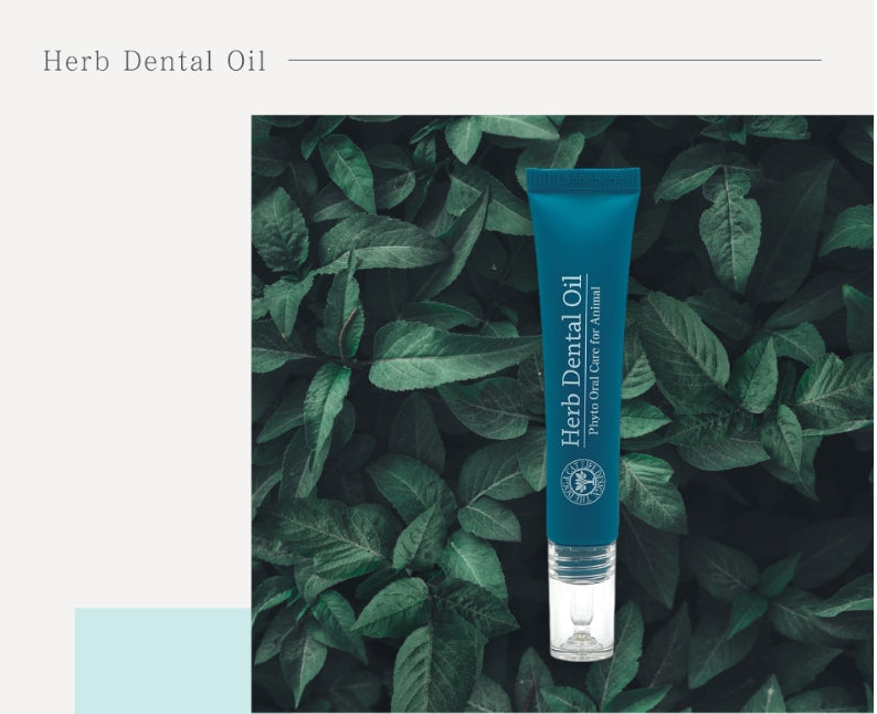 Herb Dental Oil