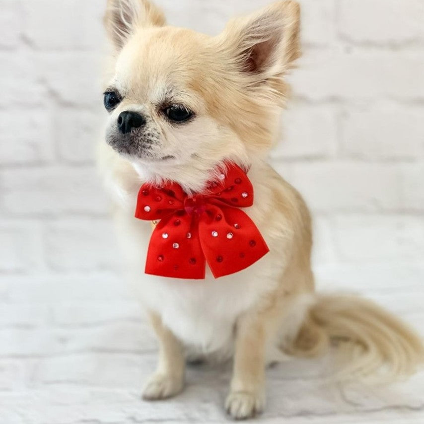 red diamond collar