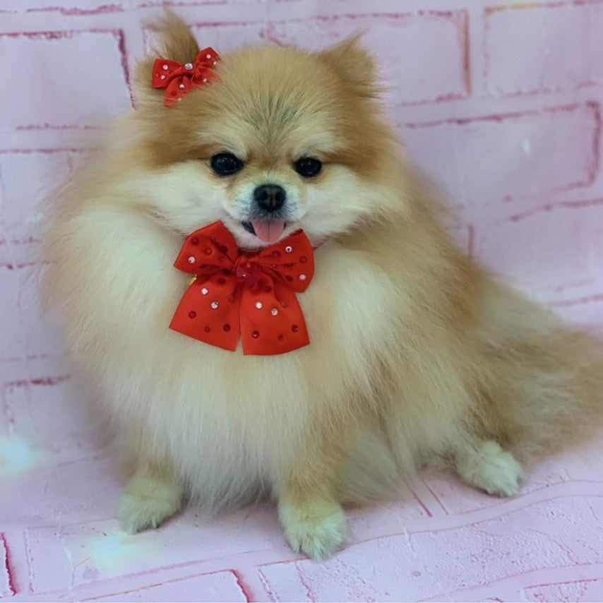 red diamond collar