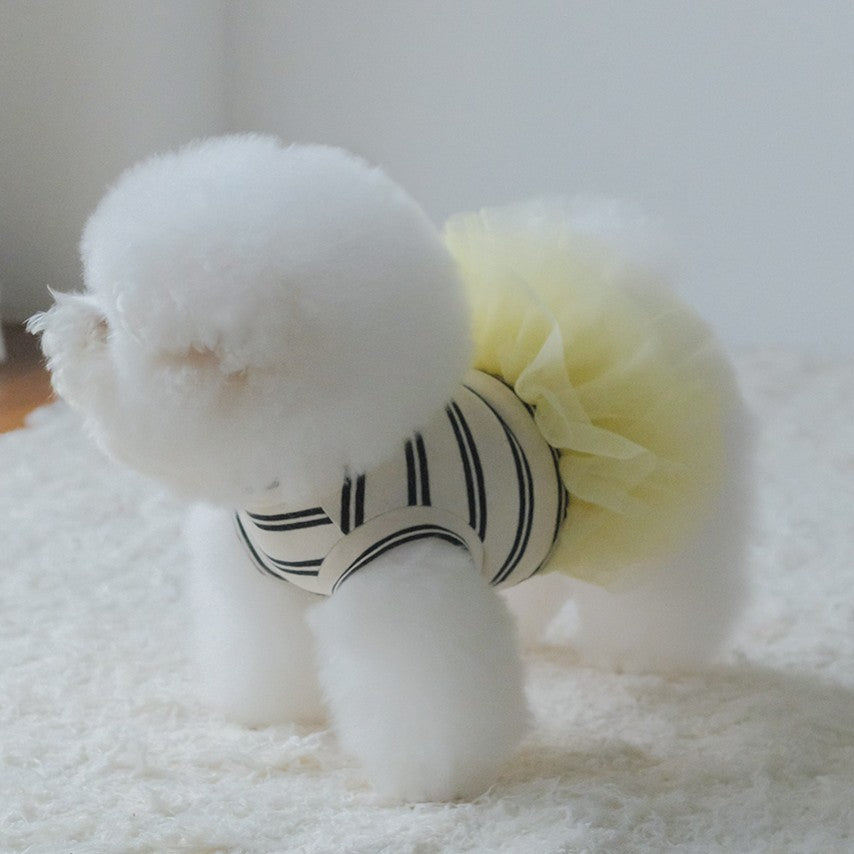 Tutu dress ivory st
