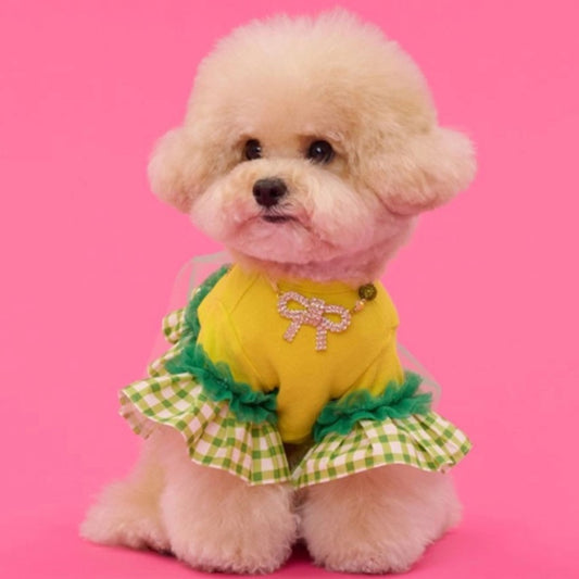 Comocomo Candypop green