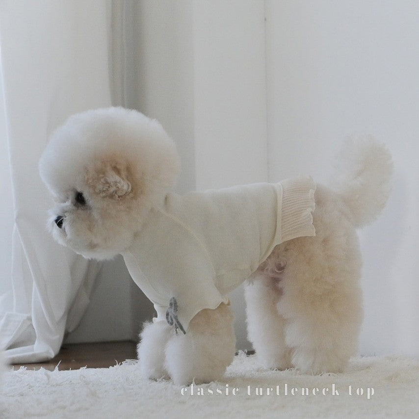 Classic turtleneck top cream