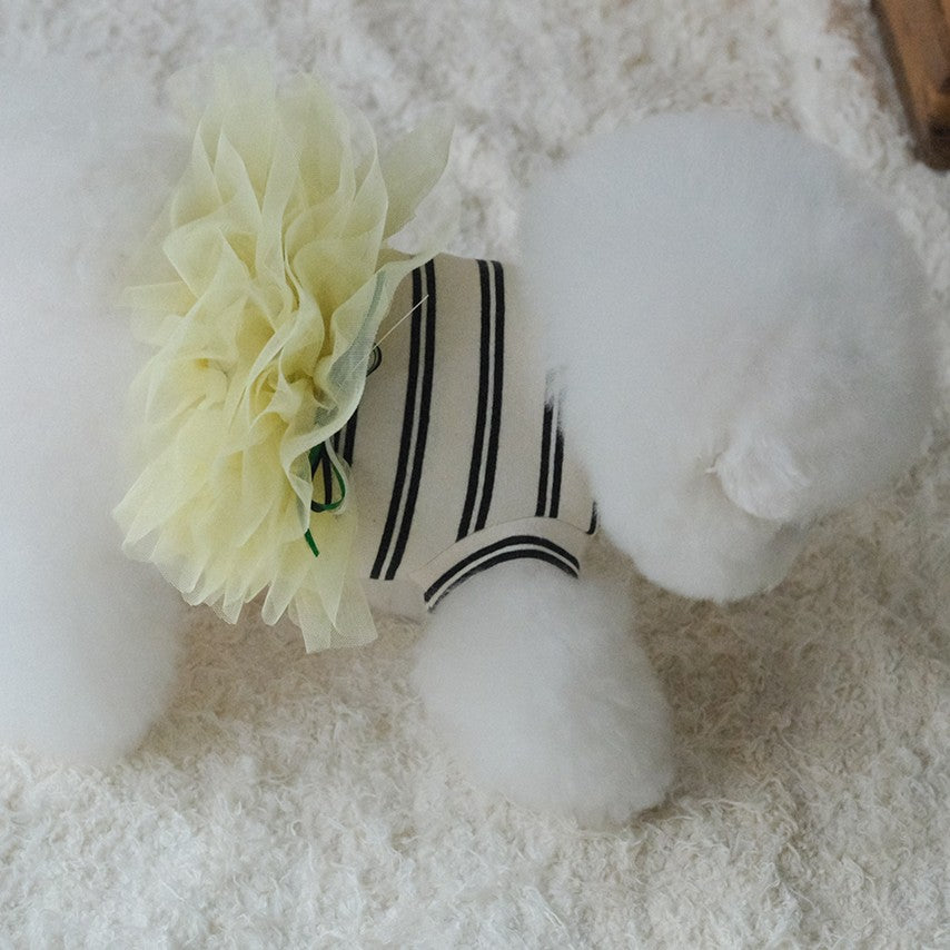 Tutu dress ivory st