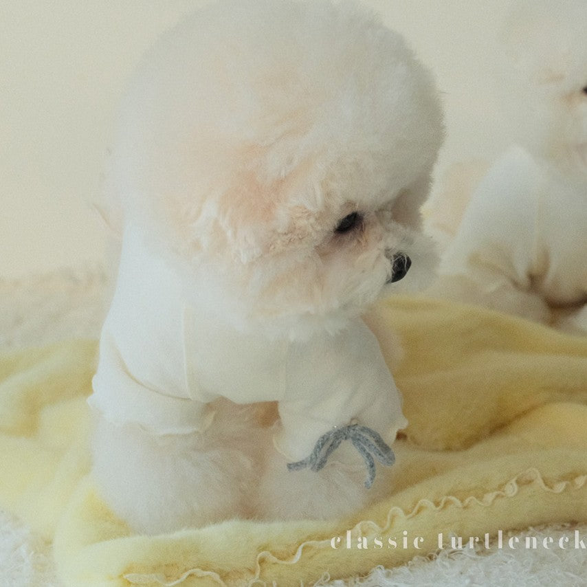 Classic turtleneck top cream