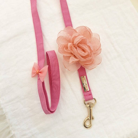 Cute-With-Rose-Leash