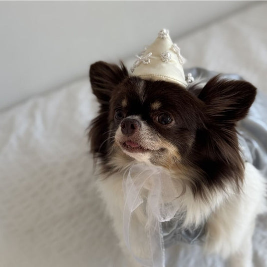 Lorelei Ivory Hat Venice