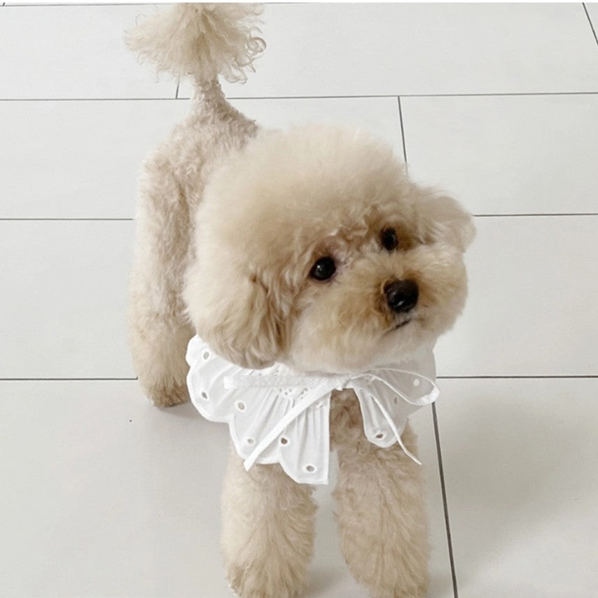 White Bonbon Collar