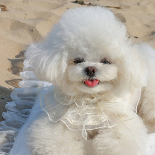 Avely (M) Lace ribbon scarf