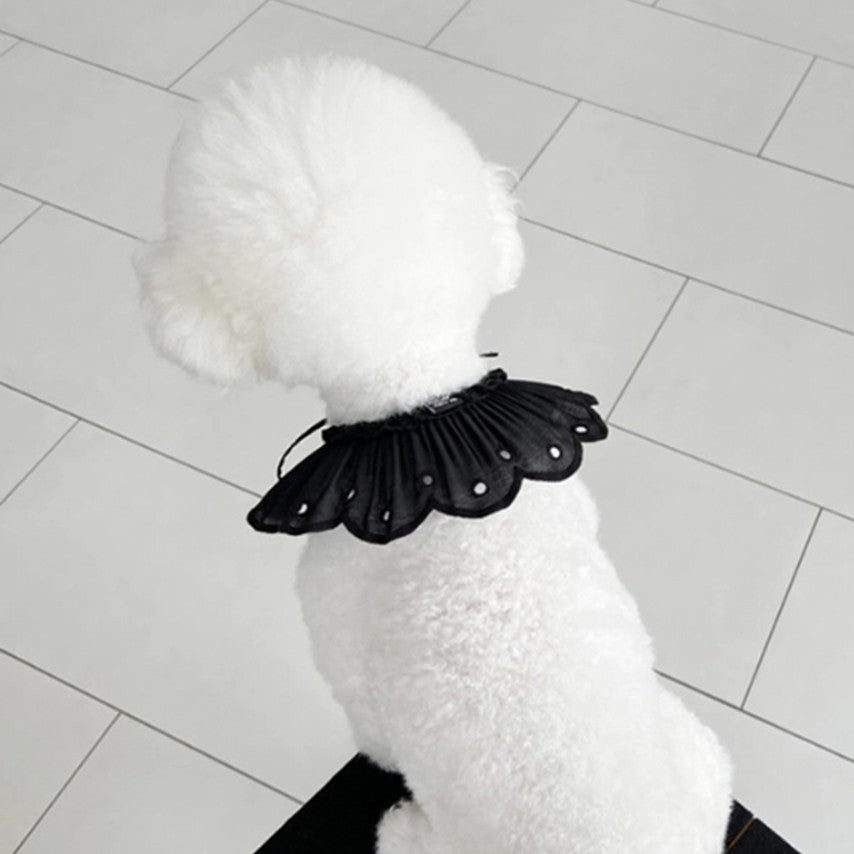 Black Bonbon Collar
