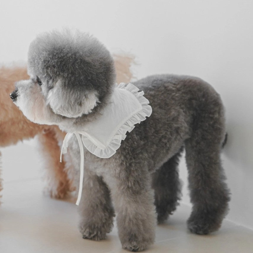White Fillette Collar