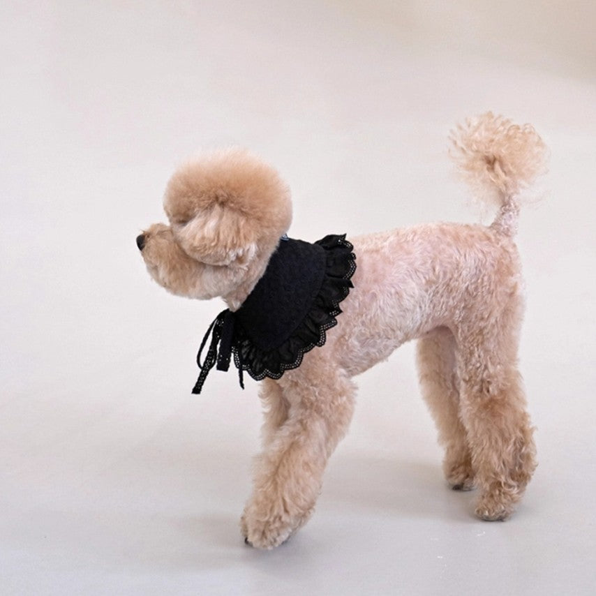 Black Peony Collar