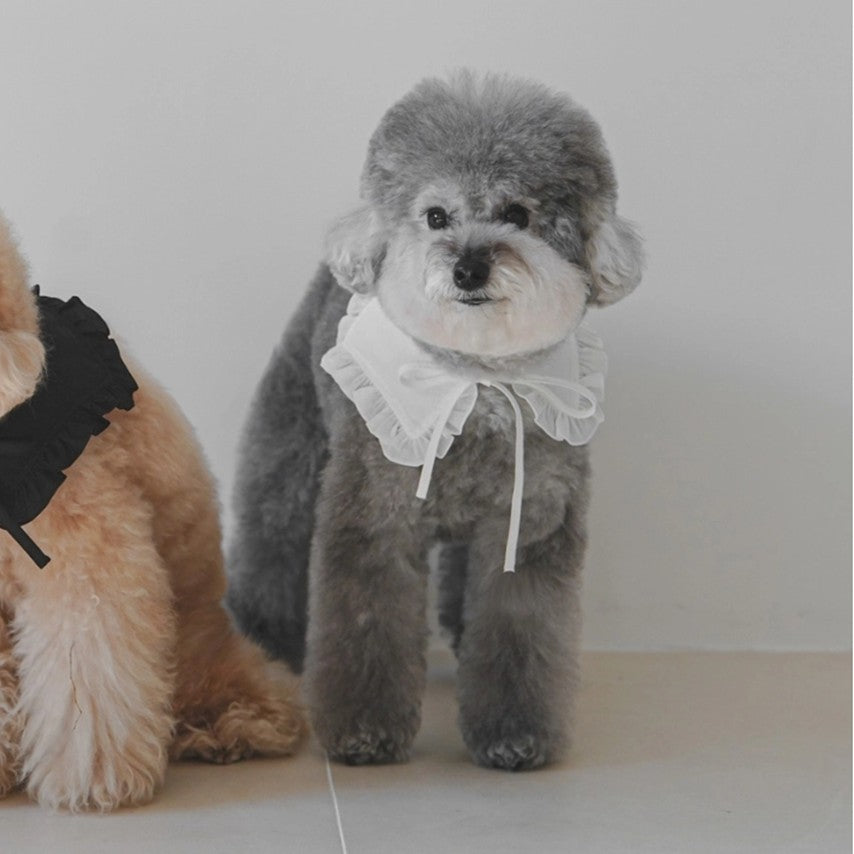 White Fillette Collar