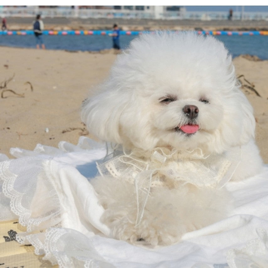 Avely (M) Lace ribbon scarf