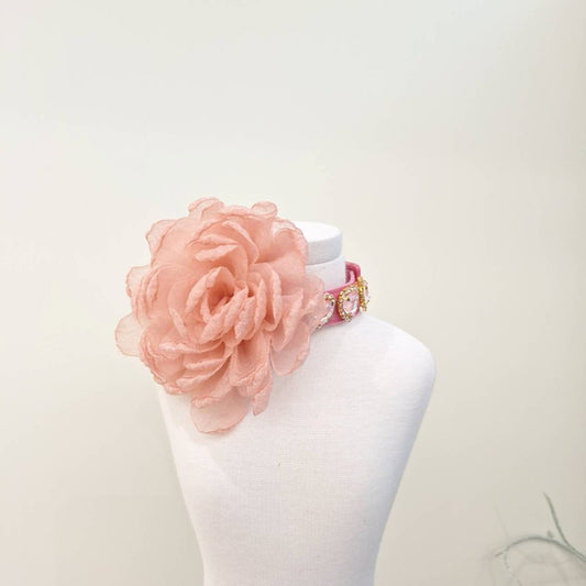 Cute With Rose Collar