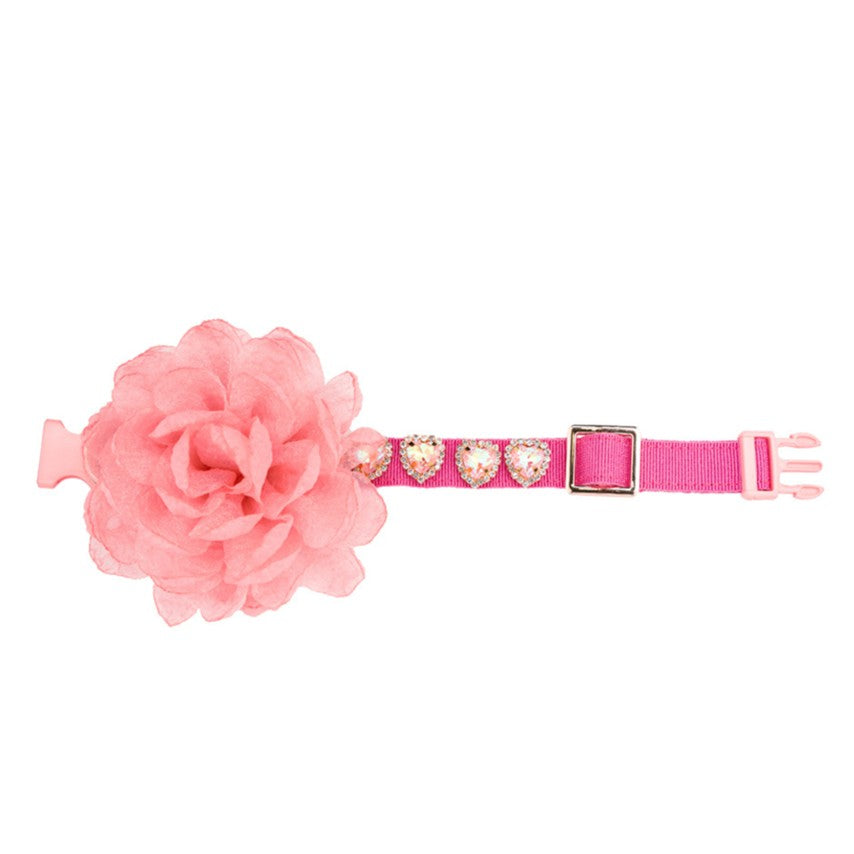 Cute With Rose Collar