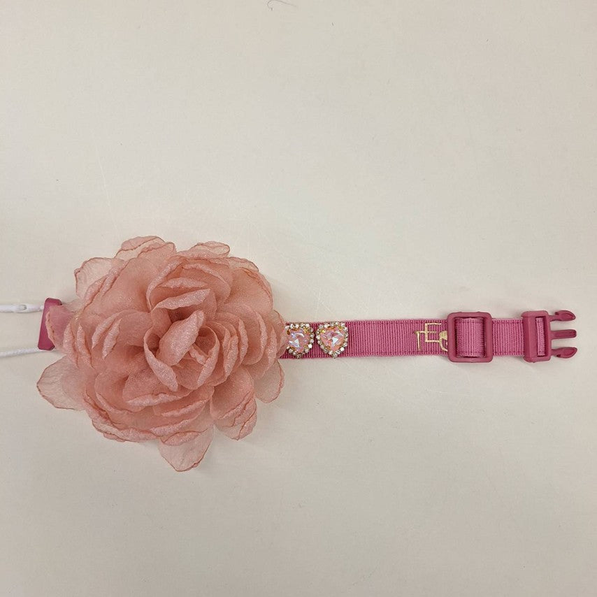 Cute With Rose Collar