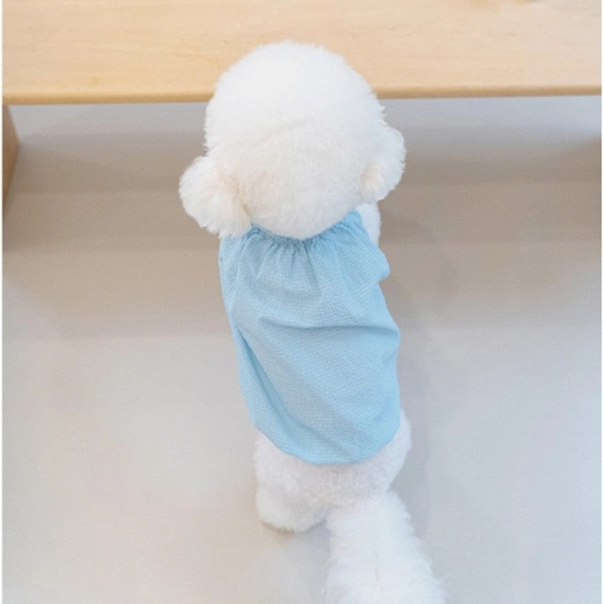 Blue allday bloomer
