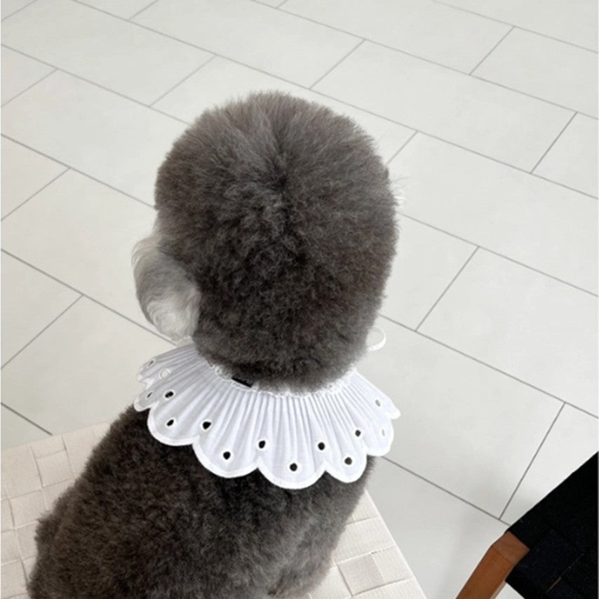 White Bonbon Collar