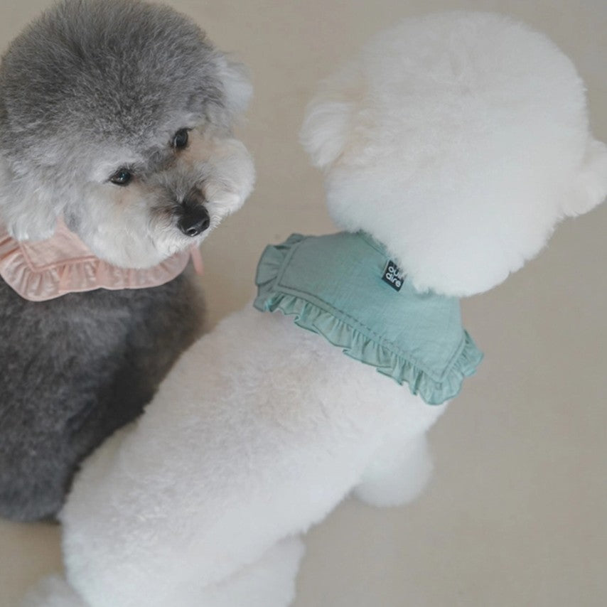 Blue Fillette Collar