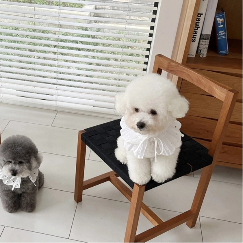 White Bonbon Collar