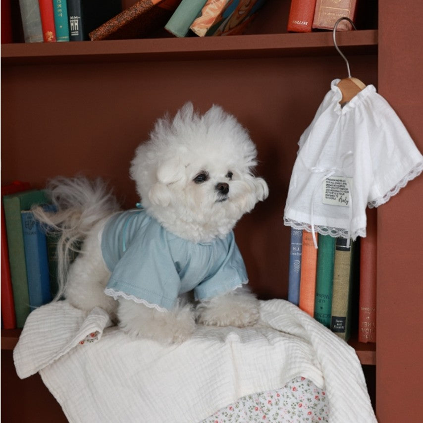 Avely Blue organic crop tee