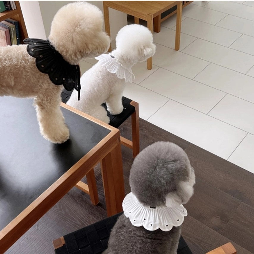White Bonbon Collar