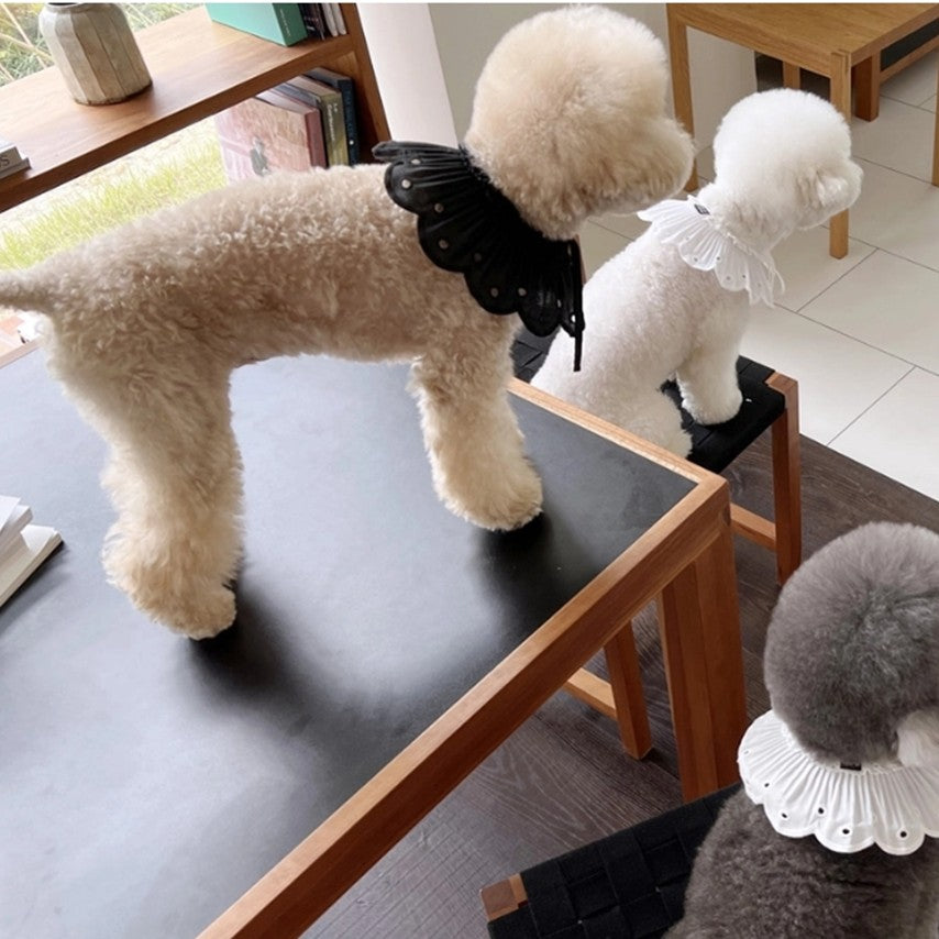 Black Bonbon Collar