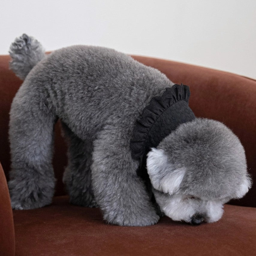 Black Peony Collar