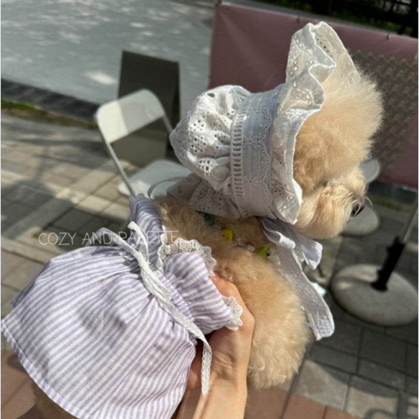 BB BONNET
